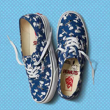 Кеды Authentic