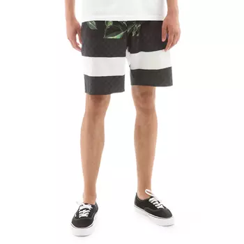 Шорты Era Boardshorts 19