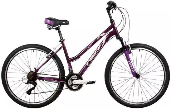 FOXX Salsa 26 2024