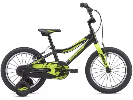 Animator F/W 16 (2019)