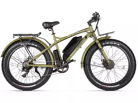 BigCat Dual New (2019)