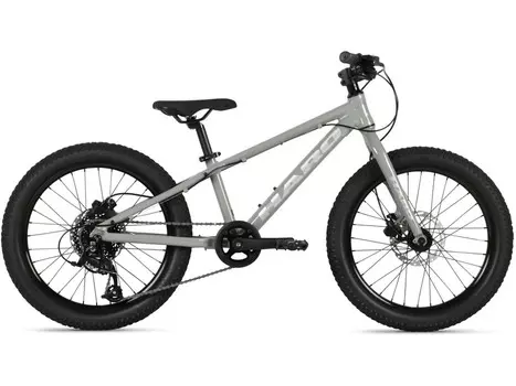 Детский велосипед Haro Flightline 20 Plus DS, год 2025, цвет Серебристый
