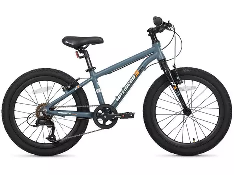 Детский велосипед Maxiscoo 3Bike 20 M, год 2025, цвет Серебристый