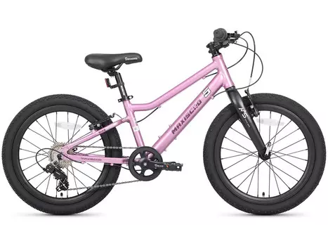 Детский велосипед Maxiscoo 5Bike 20 L200, год 2025, цвет Розовый