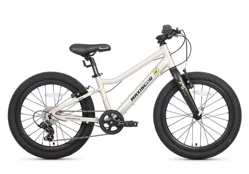 Детский велосипед Maxiscoo 5Bike 20 L200, год 2025, цвет Серебристый