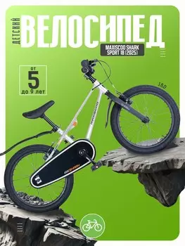 Детский велосипед Maxiscoo Shark Sport 18, год 2025, цвет Серебристый