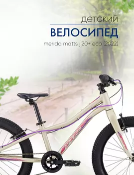 Детский велосипед Merida Matts J.20+ Eco, год 2022, цвет Серебристый-Фиолетовый