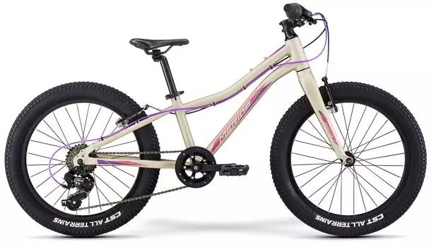 Детский велосипед Merida Matts J.20+ Eco, год 2021, цвет Серебристый-Розовый
