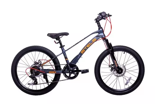 Детский велосипед Stels Leader 220 MD 22 Z010, год 2024, цвет Серебристый