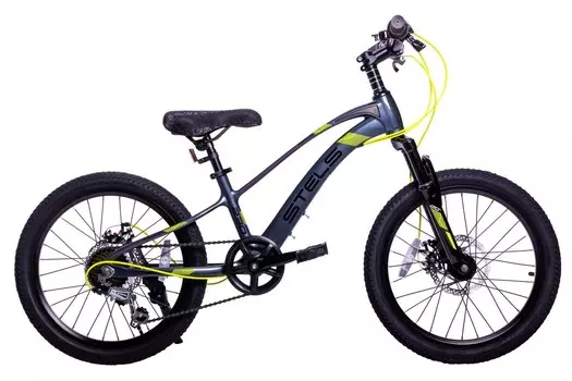 Детский велосипед Stels Leader 230 MD 20, год 2025, цвет Серебристый-Черный