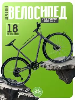 Дорожный велосипед Atom Symbiotic Speed, год 2024, цвет Серебристый, ростовка 20