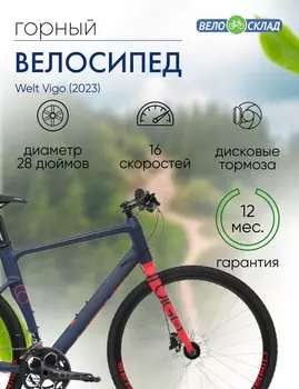 Дорожный велосипед Welt Vigo, год 2023, цвет Синий, ростовка 21