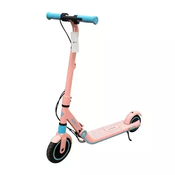 eKickScooter Zing E8