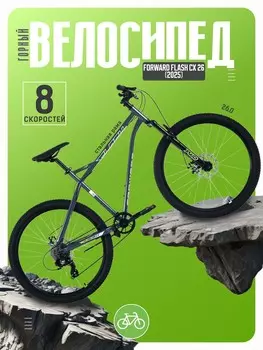 Горный велосипед Forward Flash CX 26, год 2025, цвет Серебристый-Серебристый, ростовка 19