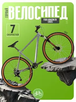 Горный велосипед Foxx Aragon 29, год 2025, цвет Серебристый, ростовка 18