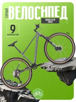 Горный велосипед Hagen 1.9 29, год 2025, цвет Серебристый, ростовка 22