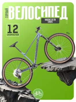 Горный велосипед Hagen 3.12 29, год 2025, цвет Серебристый, ростовка 20