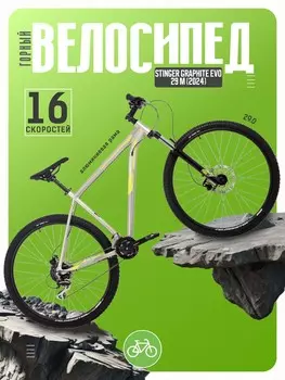 Горный велосипед Stinger Graphite Evo 29 M, год 2024, цвет Серебристый, ростовка 22