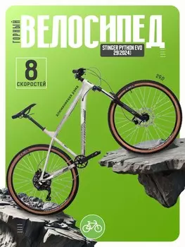 Горный велосипед Stinger Python Evo 29, год 2024, цвет Серебристый, ростовка 22