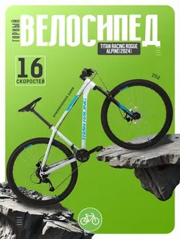 Горный велосипед Titan Racing Rogue Alpine, год 2024, цвет Серебристый, ростовка 22