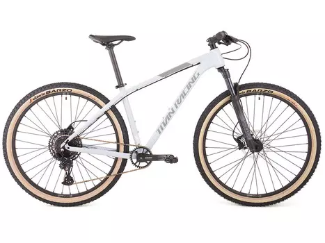 Горный велосипед Titan Racing Rogue Dash, год 2024, цвет Серебристый, ростовка 19