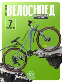 Подростковый велосипед Falcon Bike Orlan Wing Venus 26 2.0, год 2025, цвет Серебристый, ростовка 14