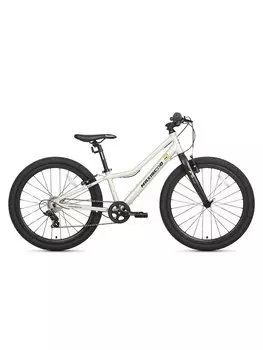 Подростковый велосипед Maxiscoo 5Bike 24 L200, год 2025, цвет Серебристый