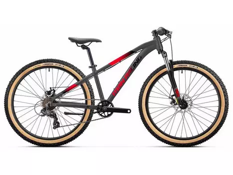 Подростковый велосипед Titan Racing Hades 26 Disc, год 2024, цвет Серебристый-Красный