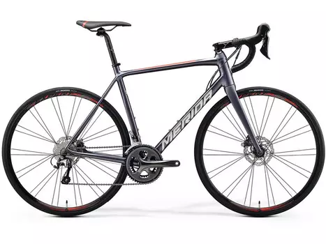 Scultura Disc 300 (2020)