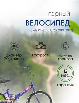 Складной велосипед Stels Pilot 310 C 20 Z010, год 2023, цвет Синий, ростовка 13