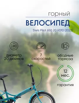 Складной велосипед Stels Pilot 650 20 V010, год 2023, цвет Синий