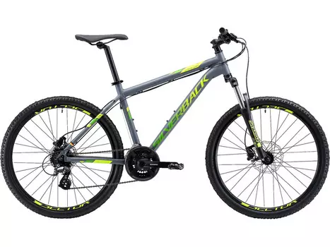 Stride 26 Comp (2019)