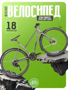 Женский велосипед Atom Symbiotic Speed Lady, год 2024, цвет Серебристый, ростовка 20