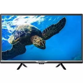 Телевизор Hyundai H-LED24FT2000 24" (2021)
