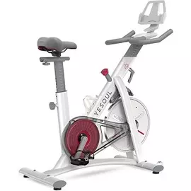 Велотренажёр Xiaomi Smart Yesoul Spinning Bike S3 white