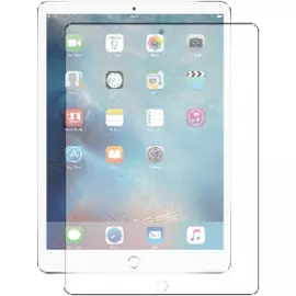 Защитное стекло для iPad Pro 12,9 в тепаке