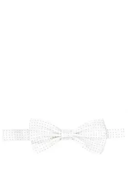 Бабочка шелковая CANALI