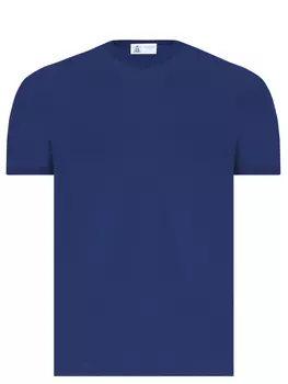 Футболка хлопковая DALMINE