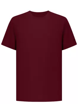 Футболка хлопковая RASCHINI