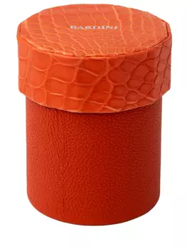 Футляр с кожей крокодила BARDINI