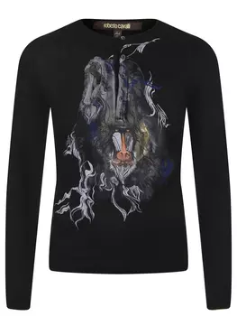 Лонгслив хлопковый ROBERTO CAVALLI