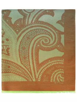 Палантин с принтом ETRO