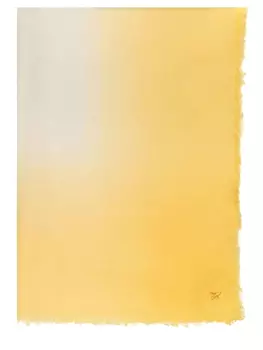 Палантин WEEKEND MAX MARA