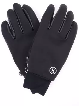 Перчатки горнолыжные