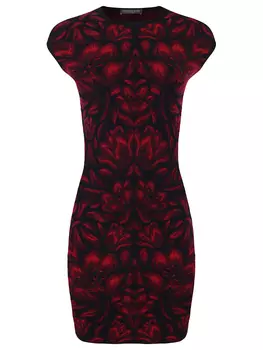 Платье с принтом ALEXANDER MCQUEEN