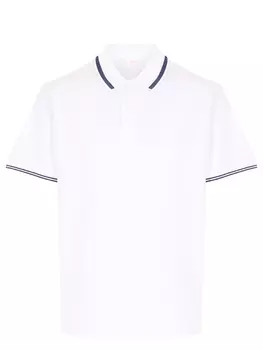 Поло хлопковое BRIONI