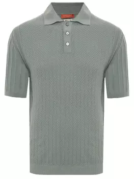 Поло хлопковое DANIELE FIESOLI