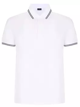 Поло хлопковое PAUL & SHARK