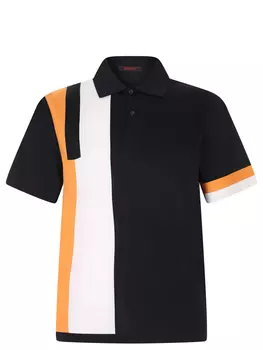 Поло хлопковое RAIDY BOER