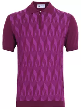 Поло хлопковое с принтом DALMINE